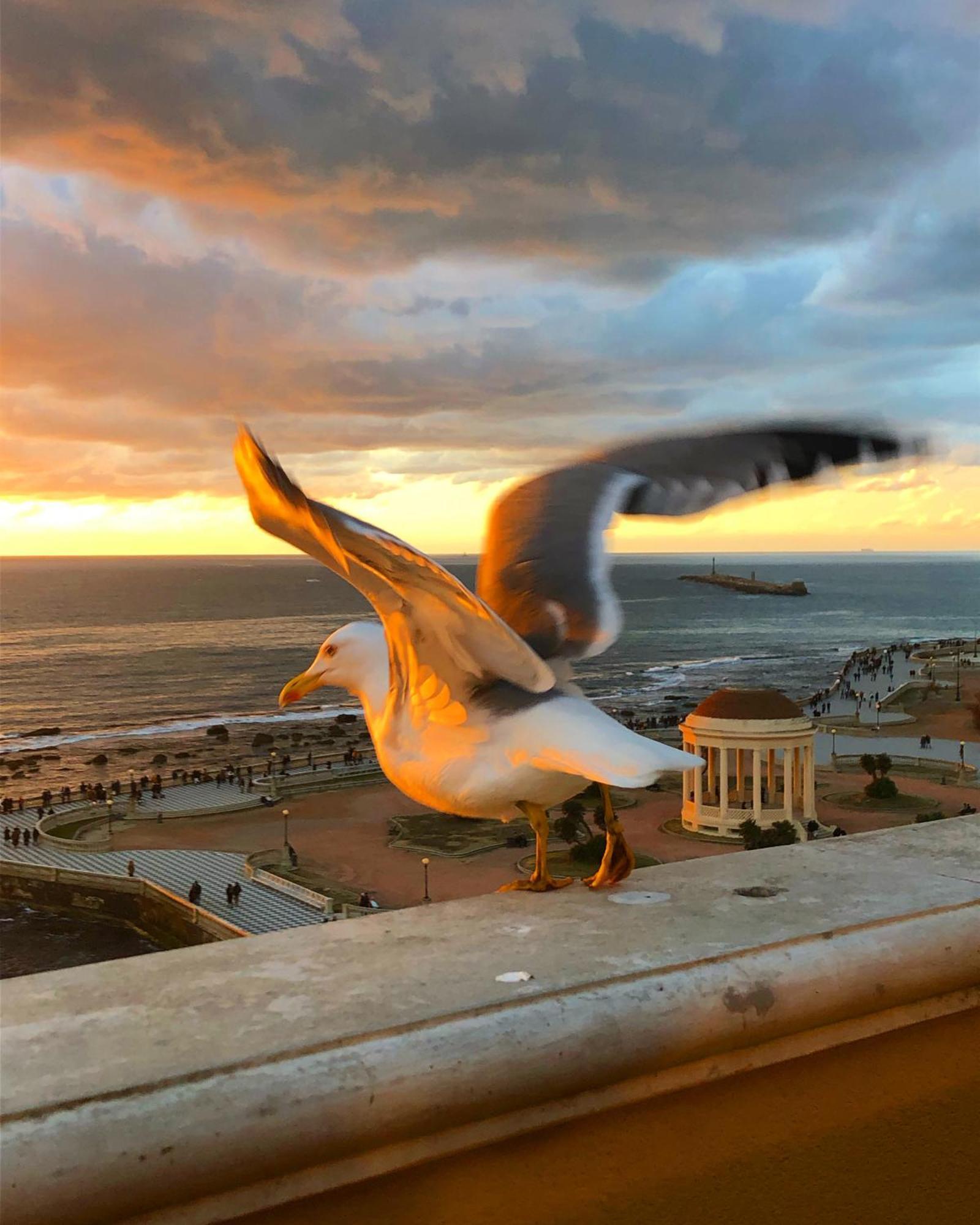 Livorno Apartment Екстер'єр фото