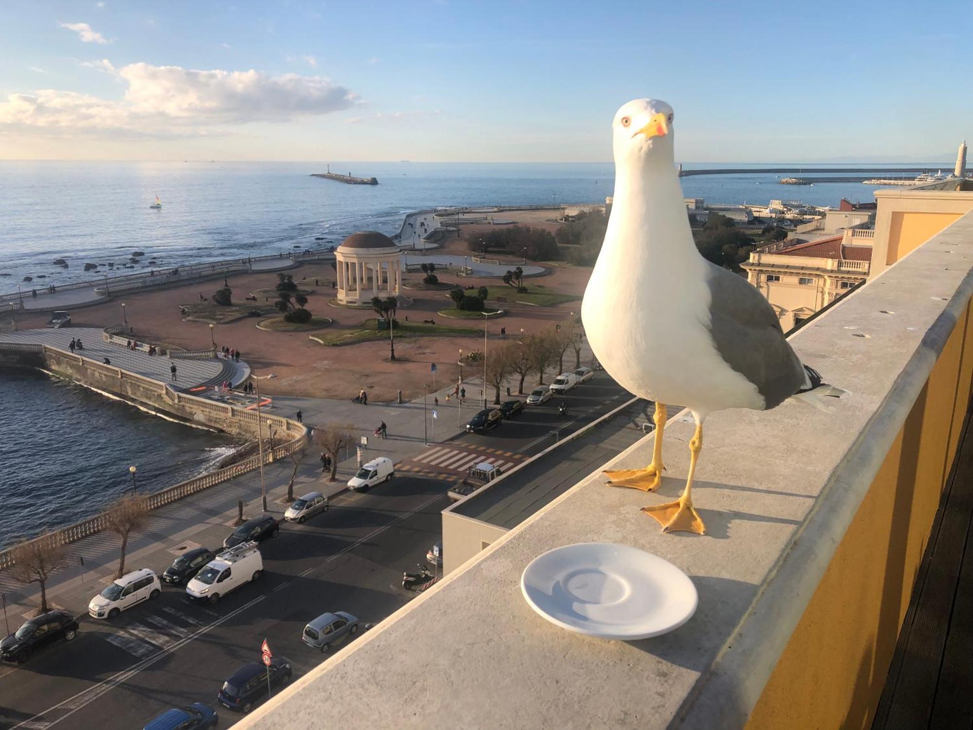 Livorno Apartment Екстер'єр фото